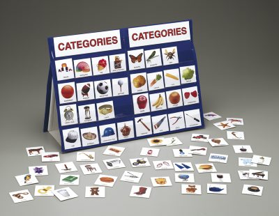 Word Families (Categories Pocket Chart)