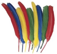 24 Quill Feathers - Multi Colored - Assortments CK4503