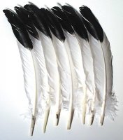 Imitation Eagle Quill Feathers - 12 Pcs CK-4512