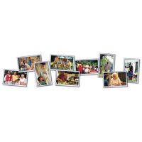 Families Photographic Learning Cards (A15-KE845016)