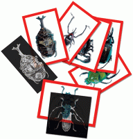 Insect X-rays and Picture Cards [R5912]