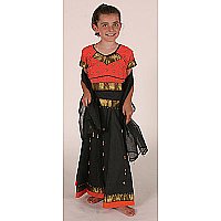 Multicutural Costume (Indian Girl )