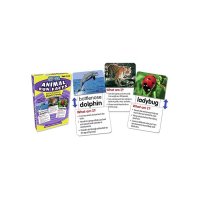 Slide & Learn Flash Cards Animal Fun Facts TC6563