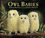 Owl Babies [CA12832]