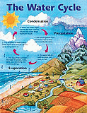 Learning Charts The Water Cycle [FS2385]