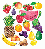 Fruits & Nuts [LFV22314]