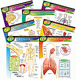 Learning Charts Combo Packs The Human Body[T38913]
