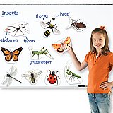 Giant Magnetic Insects LER 6042
