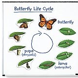 Giant Magnetic Butterfly Life Cycle LER 6043