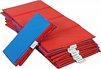 3 Section, 1" thick Infection Control Mat 48"L x 24"W CF400-502RB