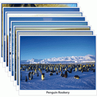Hands-On Heritage Photo Activity Cards Polar Regions [EP067]