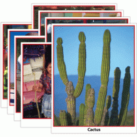 Hands-On Heritage Photo Activity Cards Mexico [EP074]