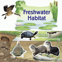 Habitat Bulletin Board Sets Freshwater Habitat [EP2218]