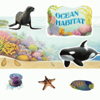 Habitat Bulletin Board Sets Ocean Habitat [EP2219]
