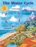 Learning Charts The Water Cycle [FS2385]