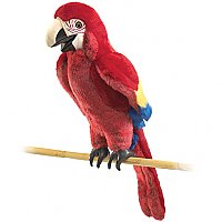 Scarlet Macaw 2362