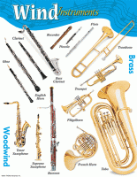 Music Learning Charts - Wind Instruments T38101