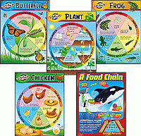 Learning Charts Combo Packs ,Life Cycles [T38934]