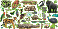 Rain Forest Animals Bulletin Board Set [T8150]