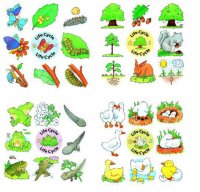 Life cycle Jigsaw Puzzle Set of 4 RP-013