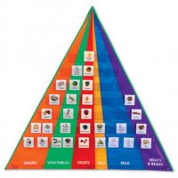 Food Pyramid Pocket Chart with Cards LER 2494