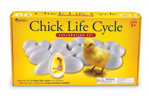 Chick Life Cycle Exploration Set LER 2733