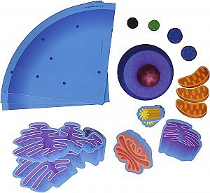 Giant Magnetic Animal Cell LER 6039