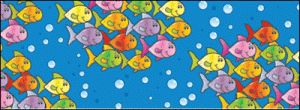 Straight Borders Fish [CD108034]