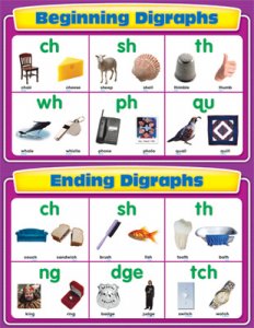 Beginning and Ending Digraphs [CD114067]