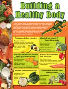 Building a Healthy Body [CD414066]