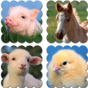 Scratch 'N Sniff Stickers.Baby Farm Animals:baby powder[CTP4507]