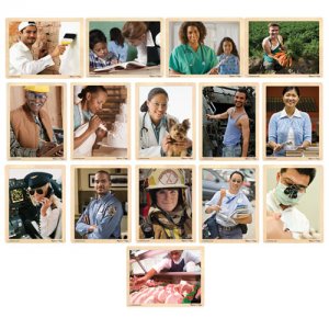 Community Careers Set of 15 Puzzles D54-1286 