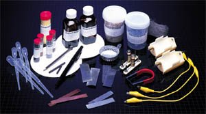 Investigating Elements, Mix and Compounds Kit AEPR-4000500