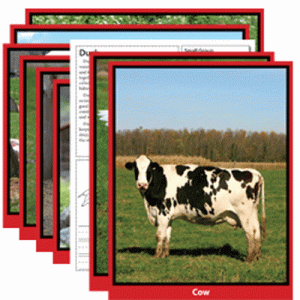 Photo Fun Activities for Early Learners Farm Animals:EP375
