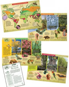 The Project Save the Forest [EU847658]