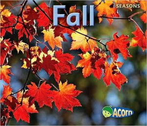 Fall [F27325]