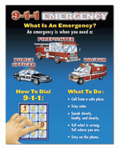 Learning Charts 9-1-1 Emergency [NS3304]