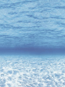 Fadeless Designs Ocean 48" x 50 [PAC56525]