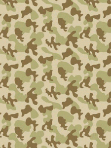 Fadeless Designs Desert Camouflage 48" x 12 [PAC56538]