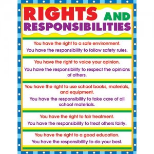 Rights And Responsibilities Chart N21805 XL 