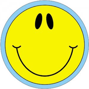 Smiley Face Novel Notes A15-9379