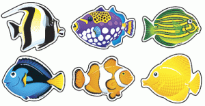 Mini Accents Variety Pack Fish [T10822]
