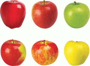 Mini Accents Variety Pack Apples Realistic [T10834]