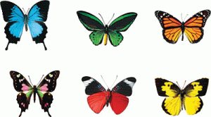 Mini Accents Variety Pack Butterflies [T10835]