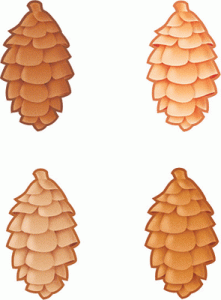 Classic Accents Variety Pack Pinecones [T10953]