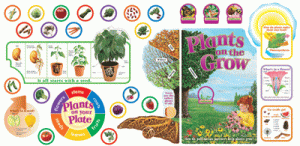 Science Bulletin Board Sets [T8029]