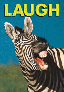 ARGUS Large Posters LAUGH [TA67283]
