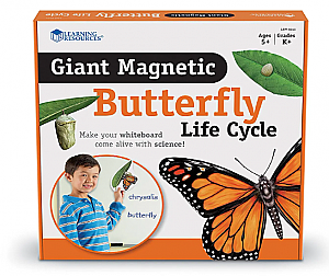 Giant Magnetic Butterfly Life Cycle LER 6043