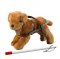 Seeing Eye Dog and Cane CF100-D06