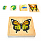 GROWTH AND LAYER PUZZLE – BUTTERFLY 17025